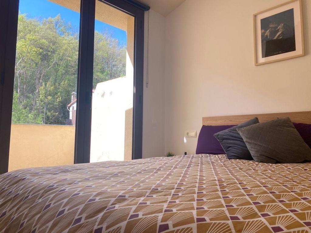 Duplex En Guardiola De Bergueda Apartment ภายนอก รูปภาพ